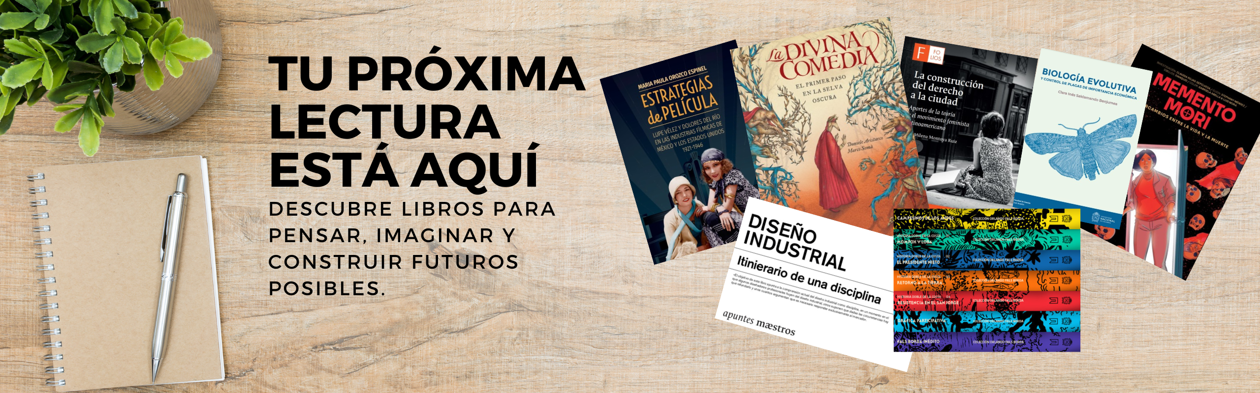 banner libros mesa